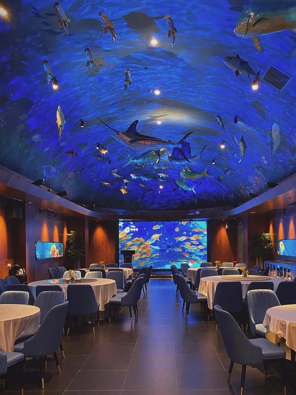 深圳福田超火的主题海洋餐厅一秒进入海底世界吃着看着都新鲜