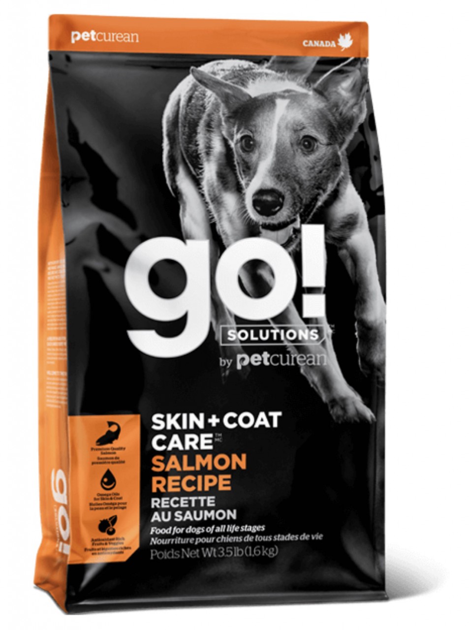 狗粮众多，我只为你选择这几款做测评