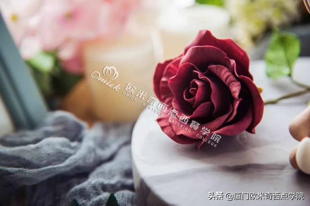 总觉得学费太贵？可我们贵有贵的道理