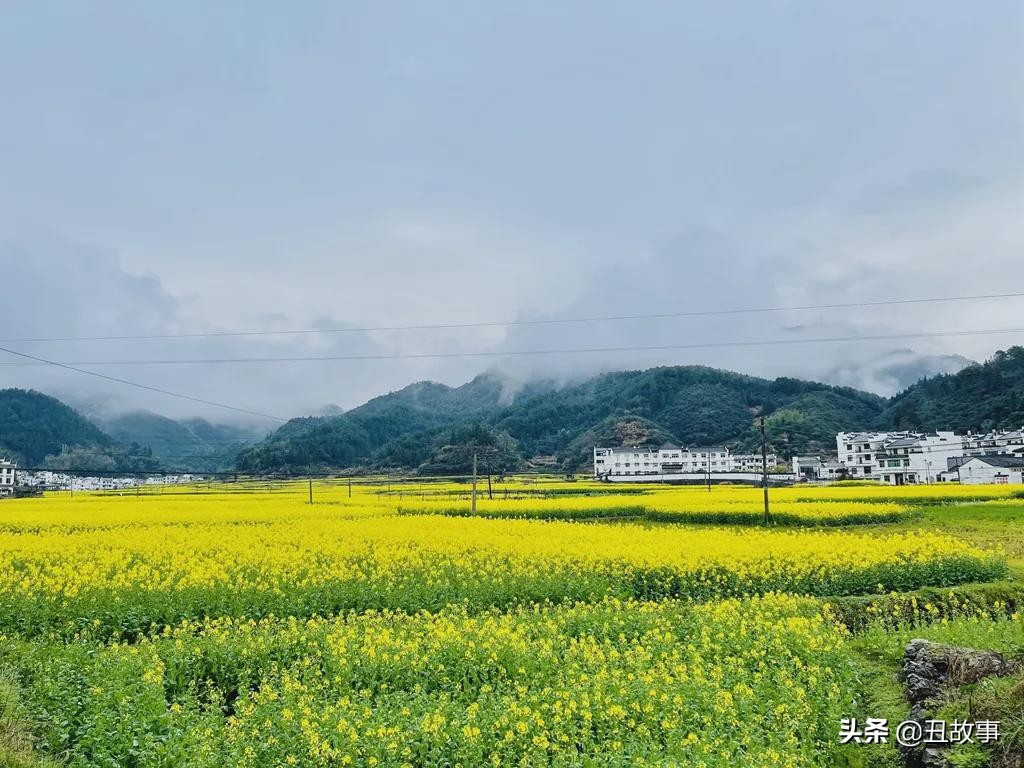 30岁辞职回乡学酿酒，父亲气得大骂