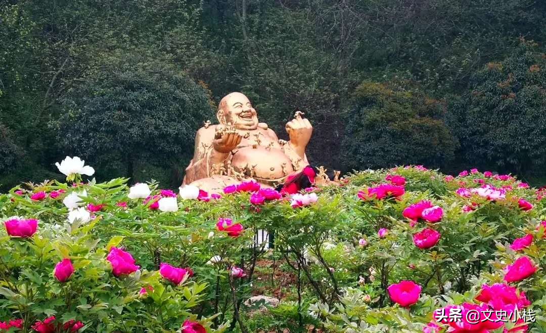 人间芳菲未尽时，薰衣草在风中低语如诗