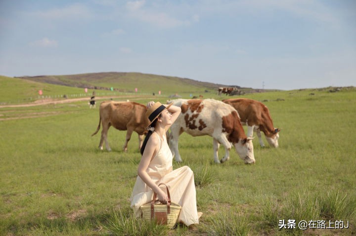 内蒙古旅游2021攻略，附：景点天气+美食+住宿+注意事项+避坑防雷