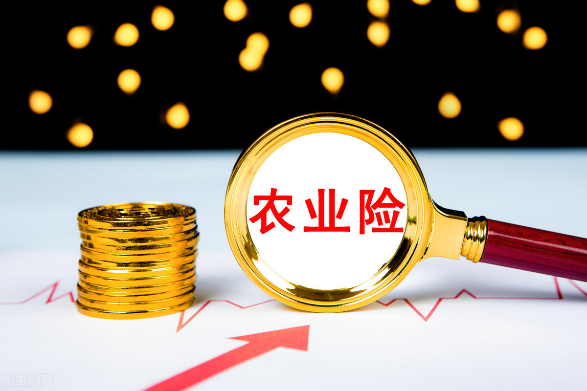 暴雨、台风灾害，汽车泡水，房屋被淹，人身伤亡，保险能不能赔？