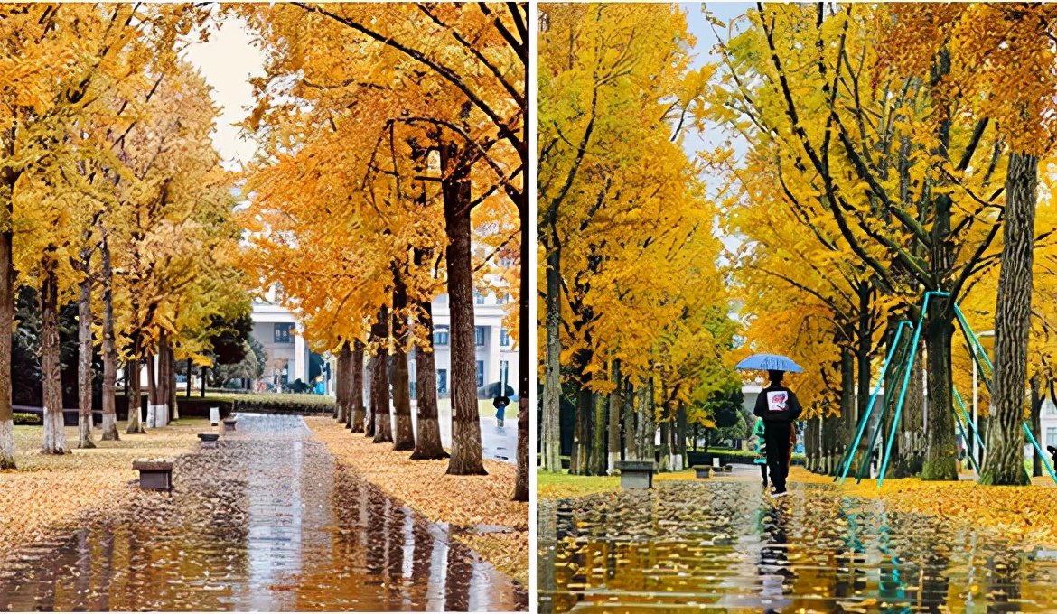 为什么越来越多的学生选择在成都读大学？原因有四个