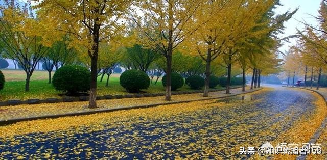 四川师范大学与西华师范大学哪个更好呢？