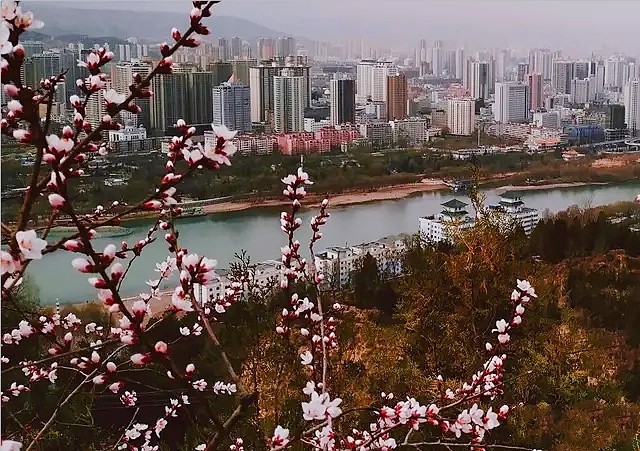 黄河之滨花相映，馨香三月尽芳菲。掬一捧春色，共赏春花烂漫！