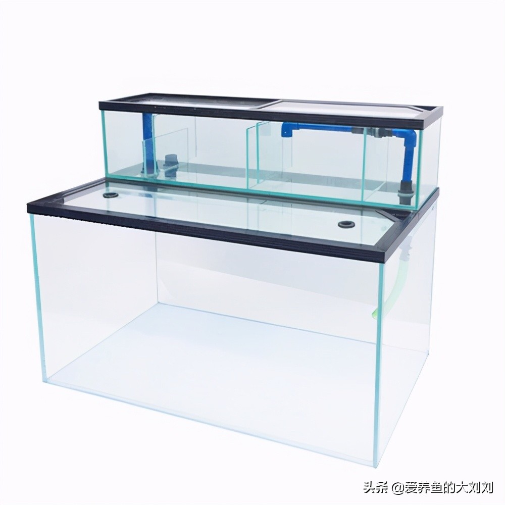 哪种鱼缸过滤器适合你呢?(上篇)