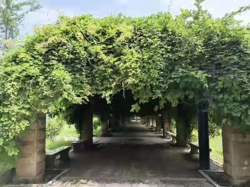 志愿填报进行时！选择西安外国语大学，10个理由就足够