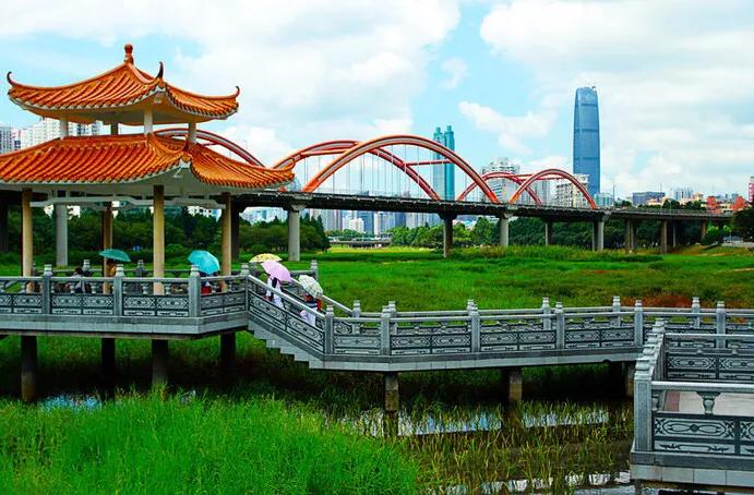 深圳十大免费特色的湖泊公园