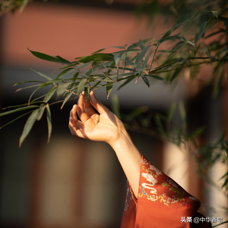 万福金安香膏和鸟啼相映成趣，飘散出的气息，将天地渲染朦胧迷幻