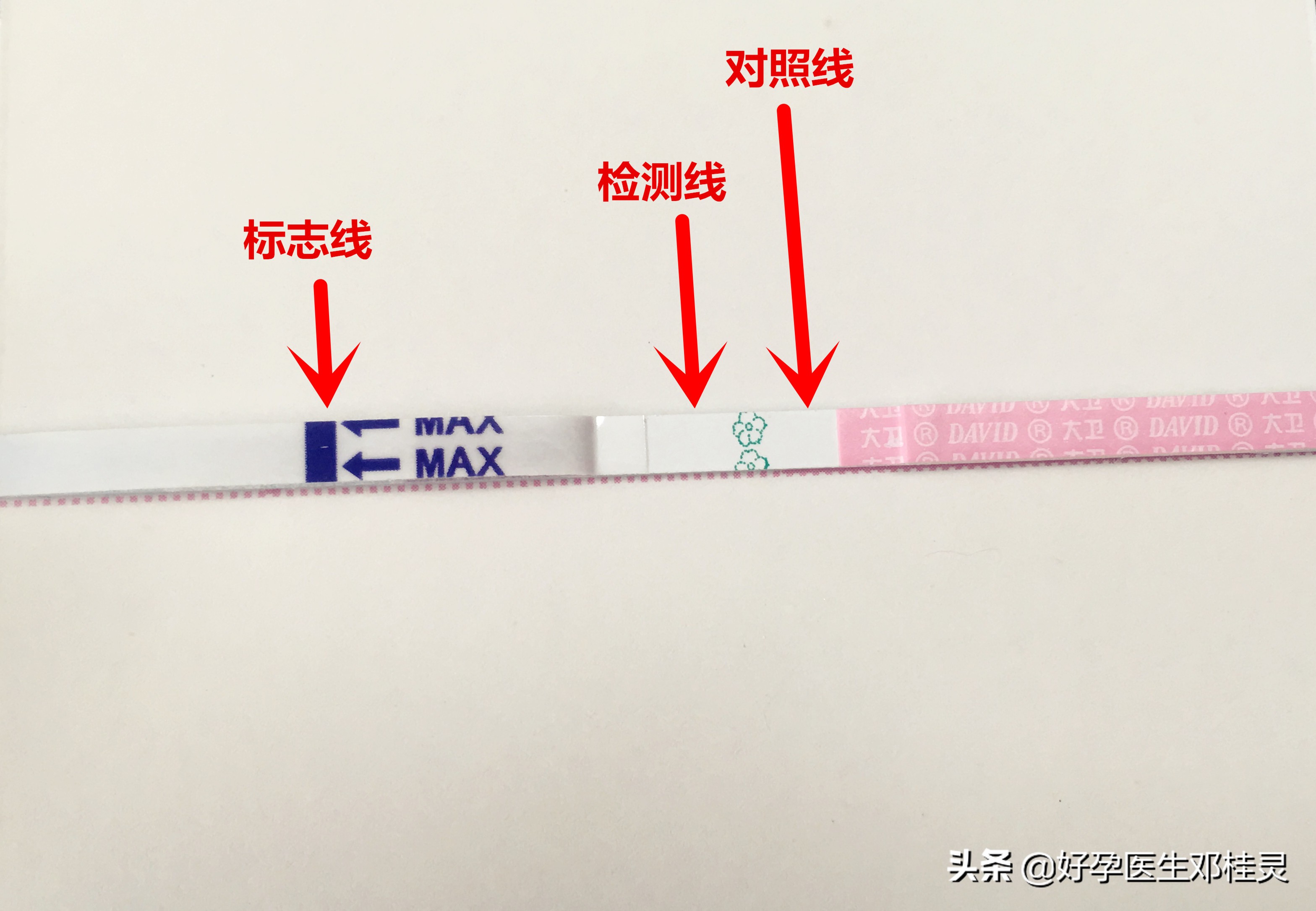 2020好孕新生第一步：如何正确使用排卵试纸精准计算你的排卵期？