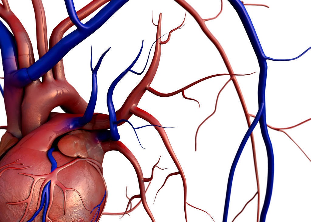 血压中的低压高，需要用药吗？把原因搞清楚了，也许可以不吃药
