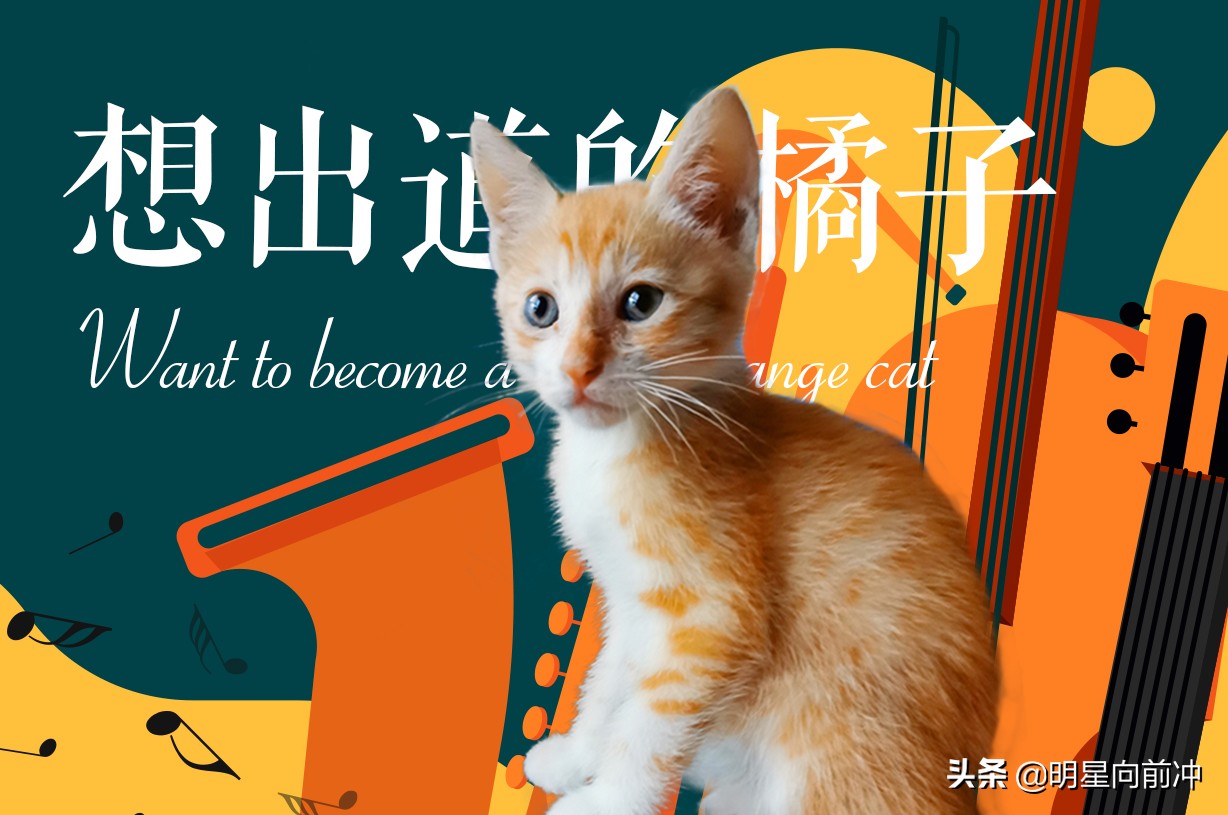 做一名练习生必需具备的条件（4）-家庭经济条件