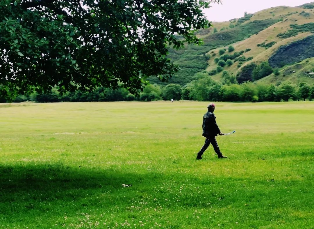 “十一月围城”丨英国留学观察日记