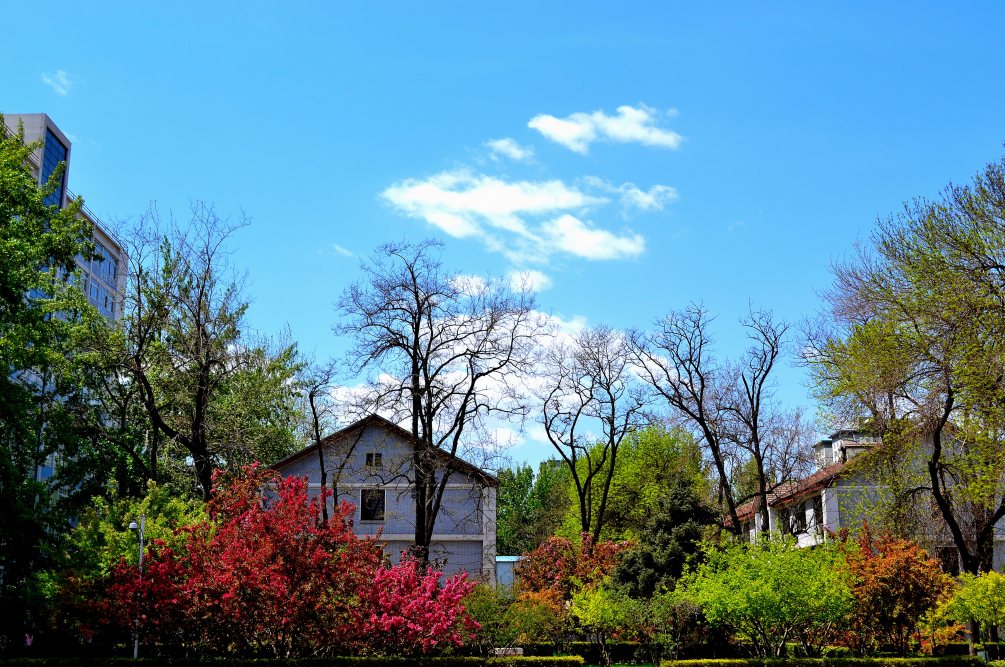 中国唯一一所以
