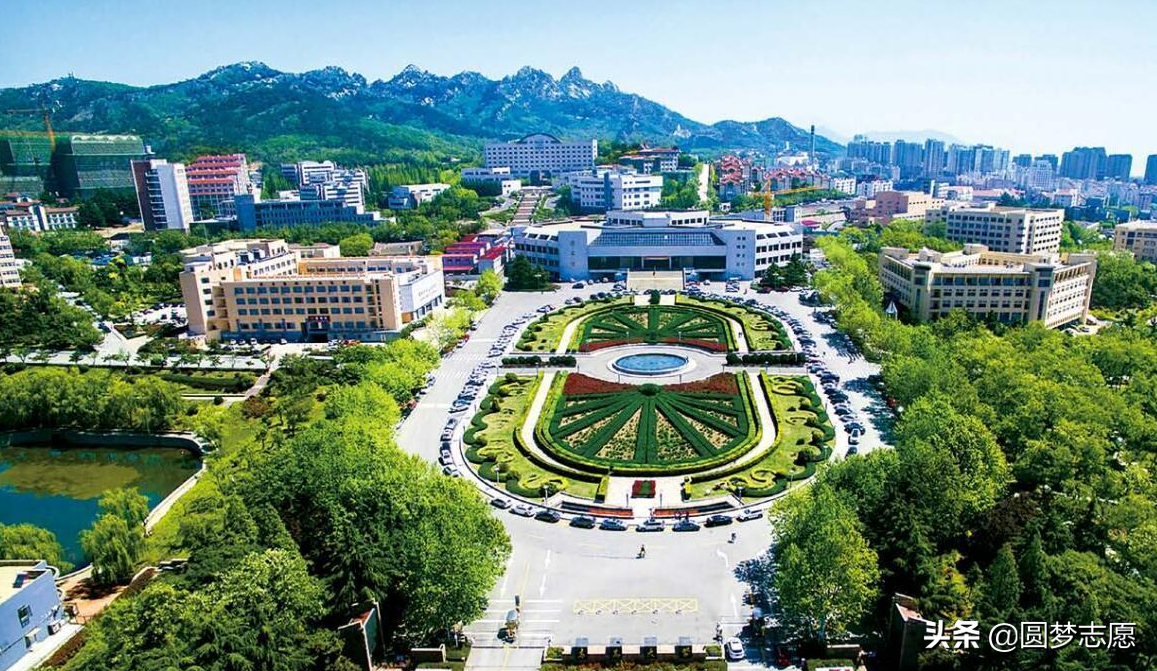 取消改建上合经贸学院？青岛大学的新校区传出新消息，市政府解释