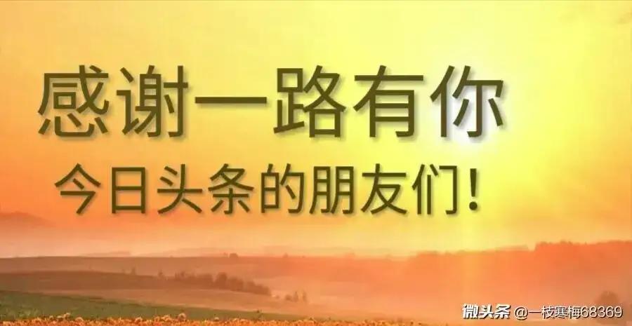 中考英语经典句型丨状语从句