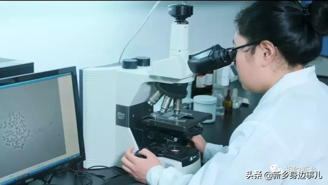 这里是河南科技学院！