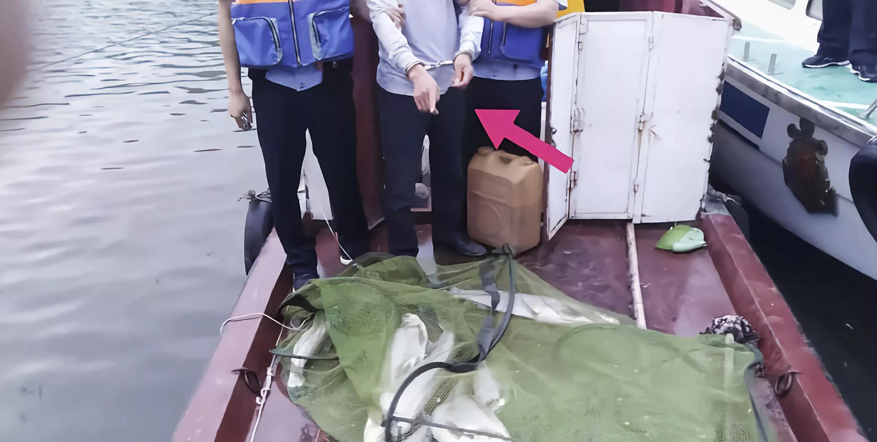 饱受争议的泥鳅钓为何被禁？网友：危害太大，灭绝性钓法