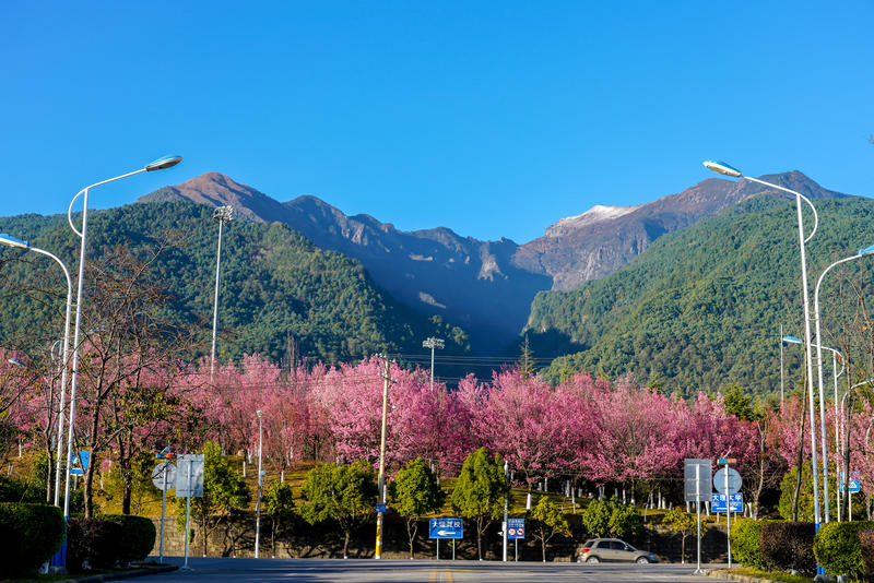 昆明旅游攻略景点大全（风花雪月最美时）