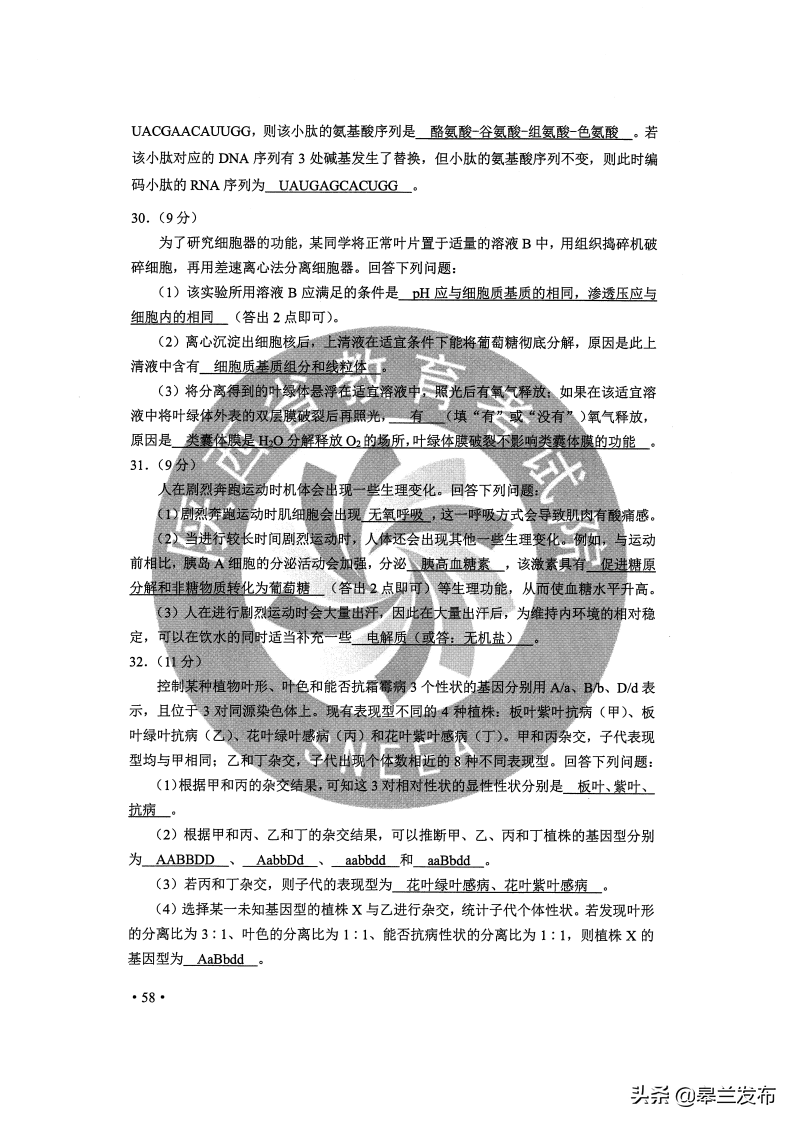 最新！2020甘肃高考全科试卷与答案公布！