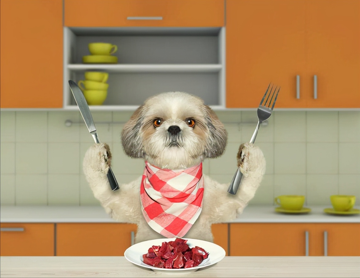 狗狗是个“贪吃鬼”，你知道有哪些食物可以吃吗？