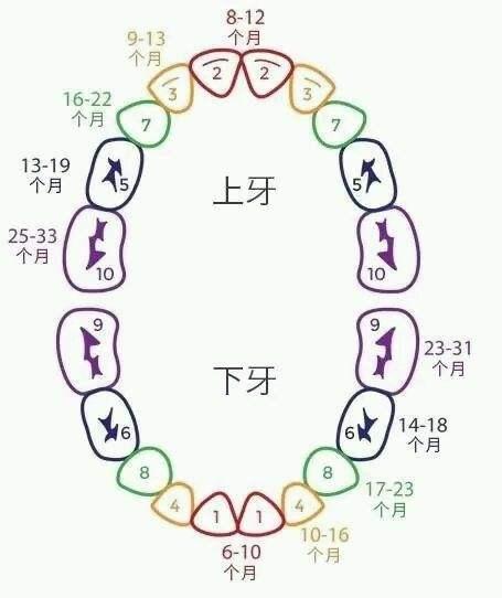 宝宝一般多大出牙？宝宝出牙期间有些什么征兆？应该注意些什么？