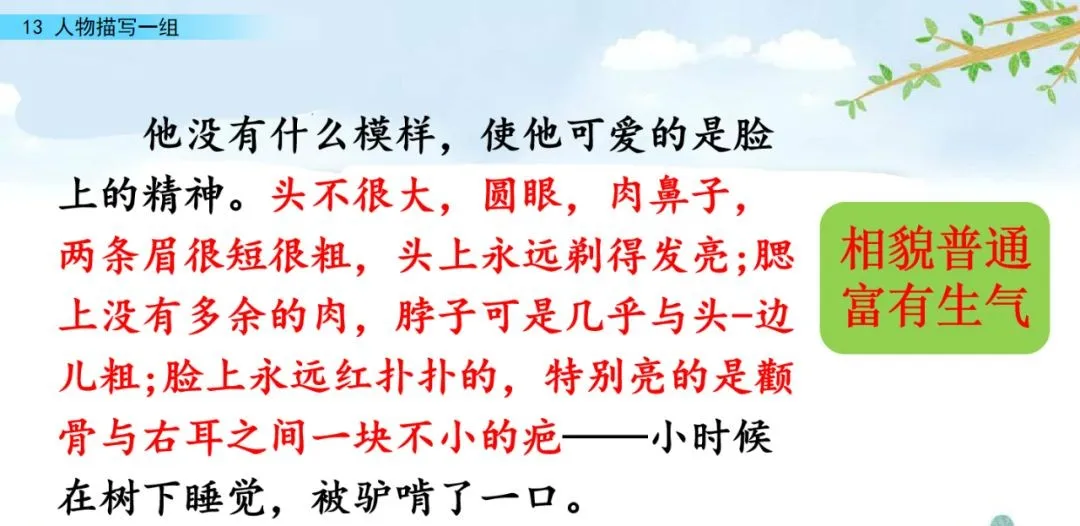 部编五年级语文下册第13课《人物描写一组》》知识点及课堂测试题