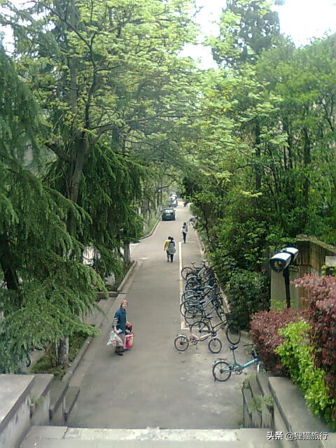 百年名校南京大学一日游，八年前的老照片带你回忆南大