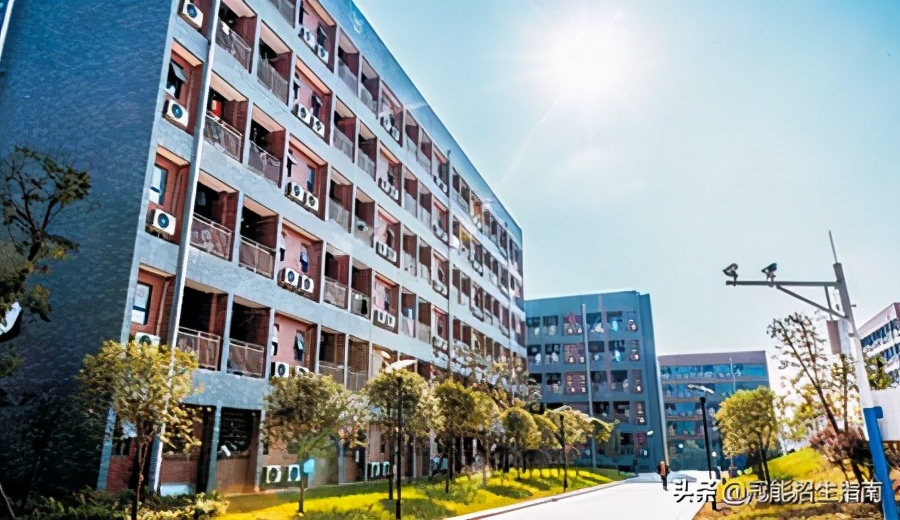 成都公办的单招学校有哪些-2021年值得关注的成都单招学校