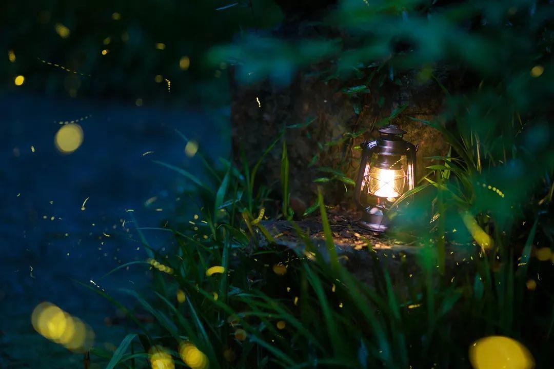 描写晚上池塘的优美句子_晶羽文学网