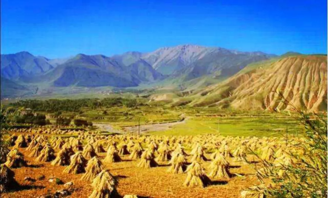高高太子山 滔滔大夏河——难忘兵之初