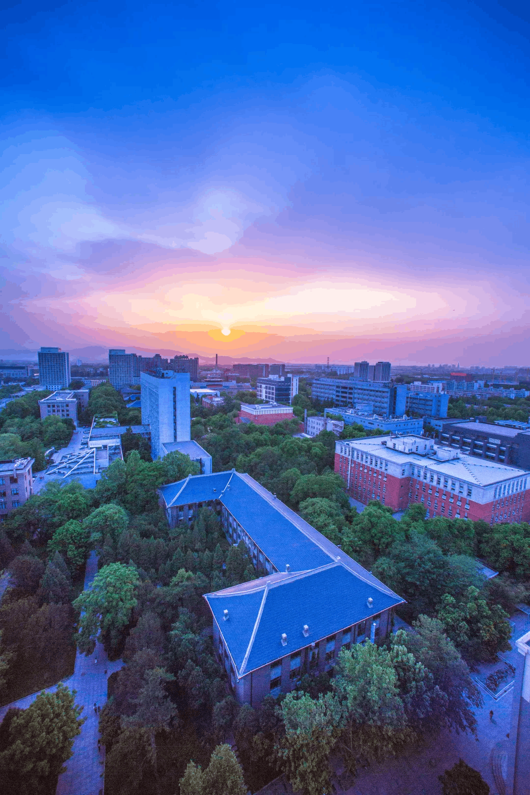 北京林业大学校训（北京林业大学校长）