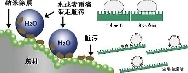 荷叶为什么不沾水？超高分辨率显微镜下，才知出淤泥而不染的原因