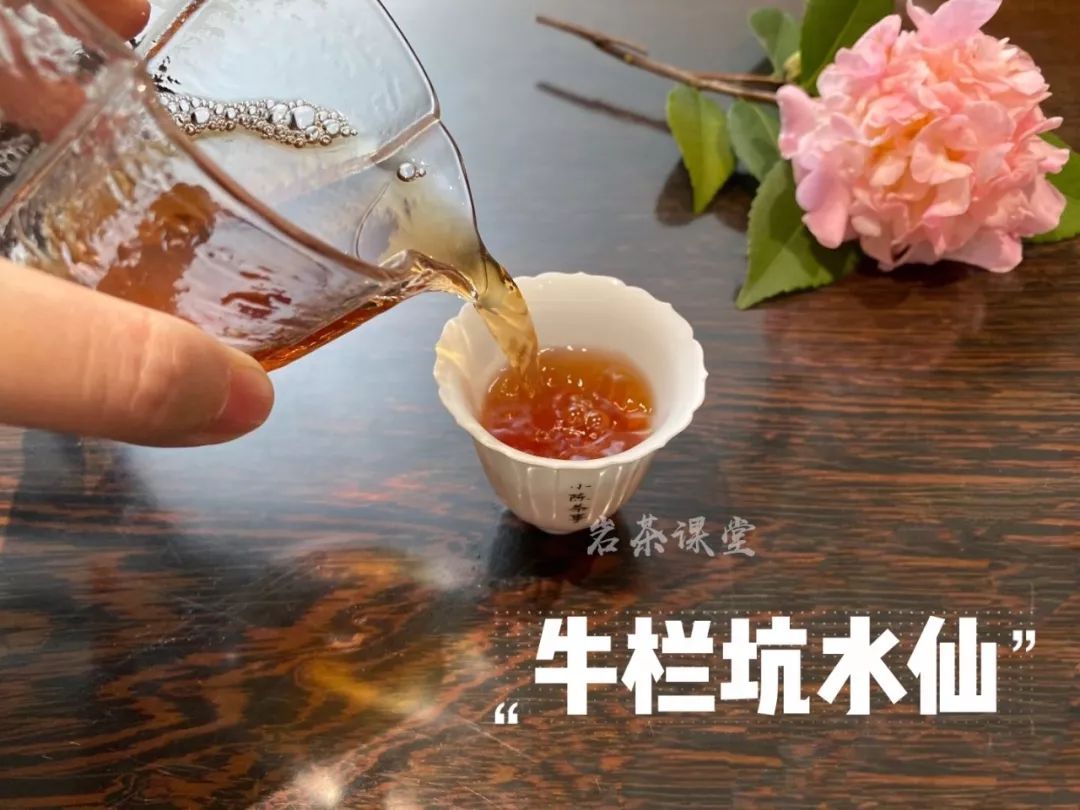 岩茶圈的顶流！一斤10W的牛栏坑肉桂，贵的是茶，还是牛栏坑？