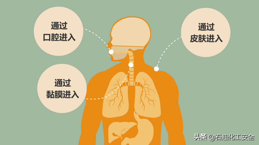 辨别罐装化学品的正确方法是（危险化学品的定义与分类）