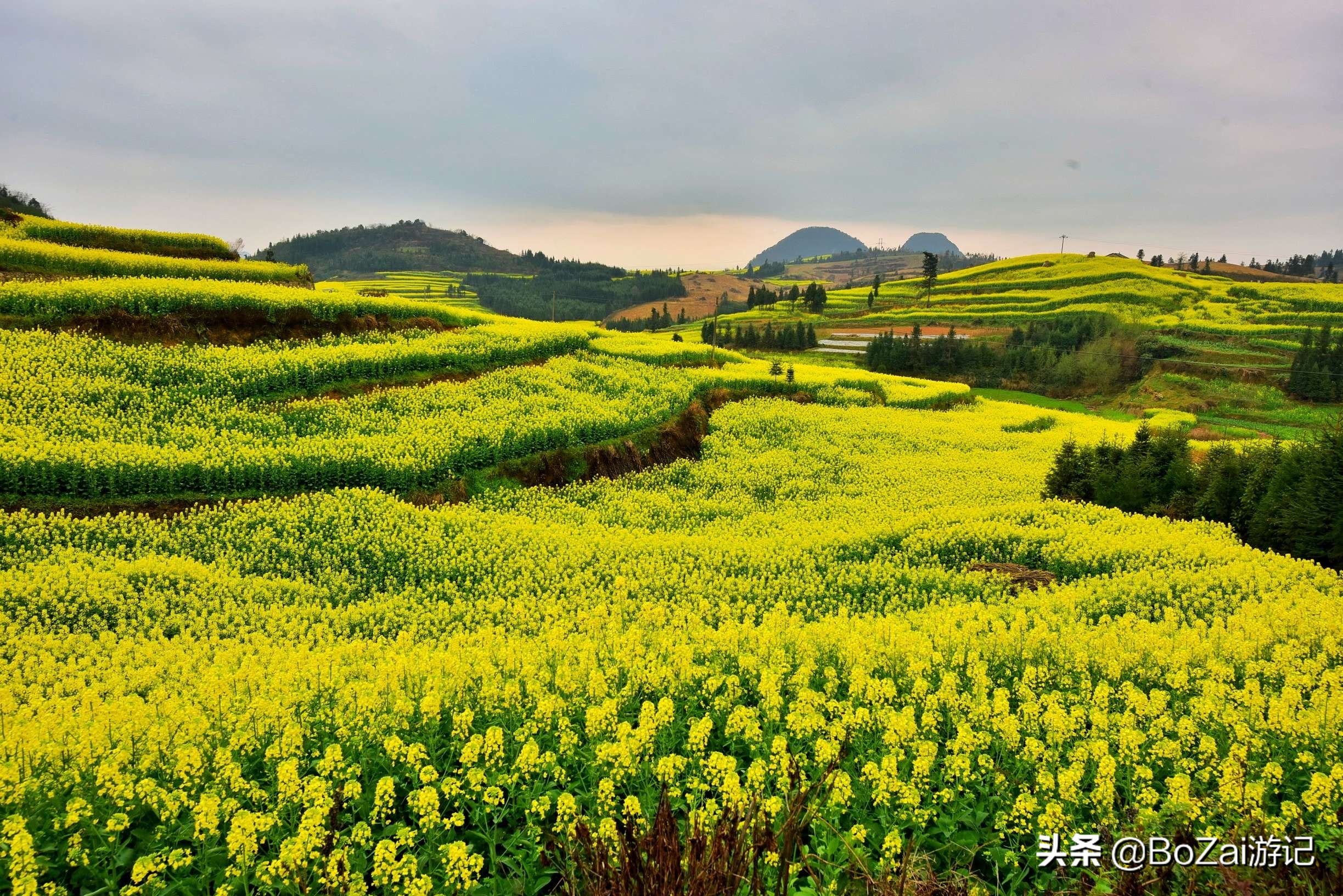 栾川老君山景区游玩攻略简介,栾川老君山景区门票/地址/图片/开放时间/照片/门票价格【携程攻略】