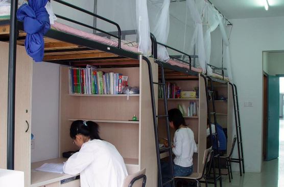 白岩松：再忙也不把孩子“扔”到学校去住宿，寄宿学校弊大于利