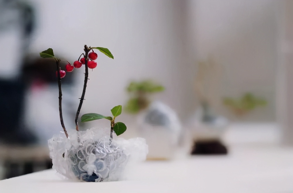 广东科贸职业学院学费宿舍费学校环境宿舍环境怎么样