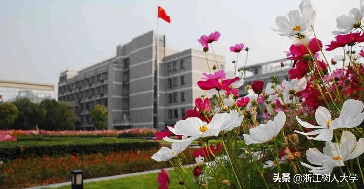 扩招啦！浙江树人大学2020年“专升本”招生计划大揭秘！