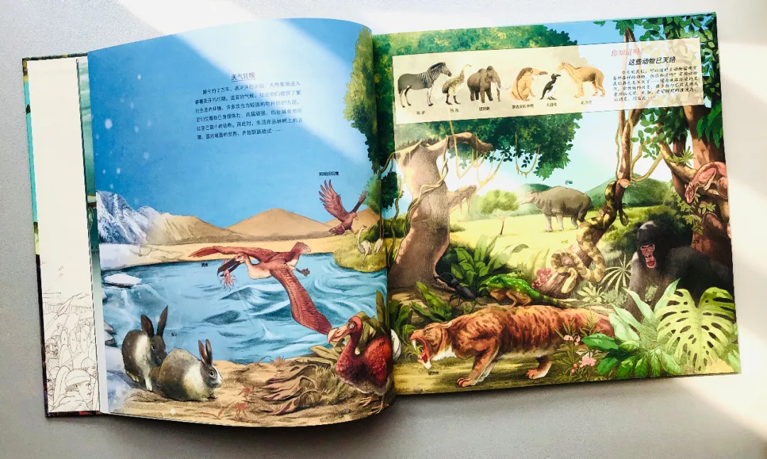 山东理科状元高考749分背后：苟且的父母，养不出孩子的诗和远方