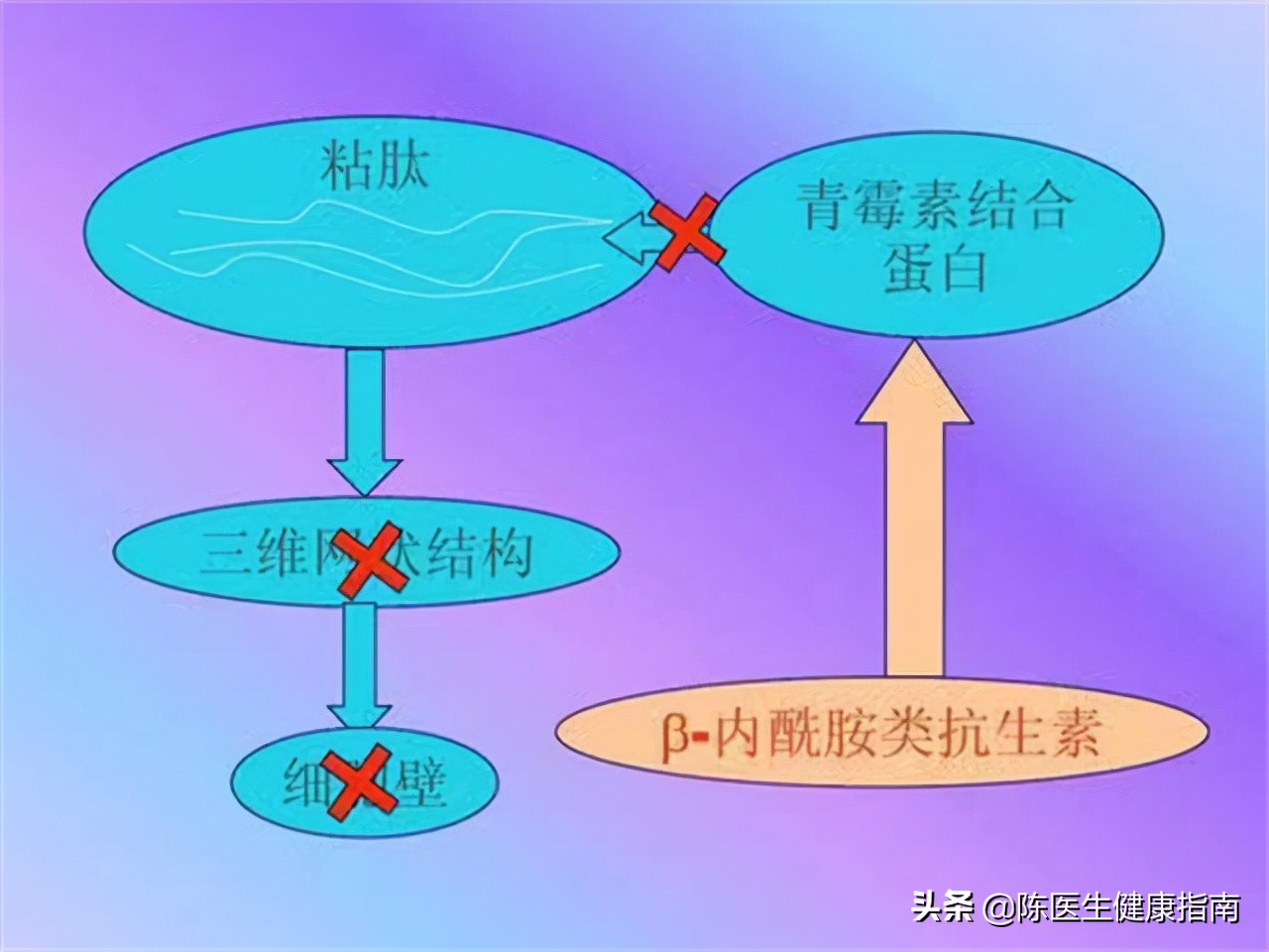 阿莫西林是上個世紀六十年代,半合成的廣譜青黴素類抗生素.