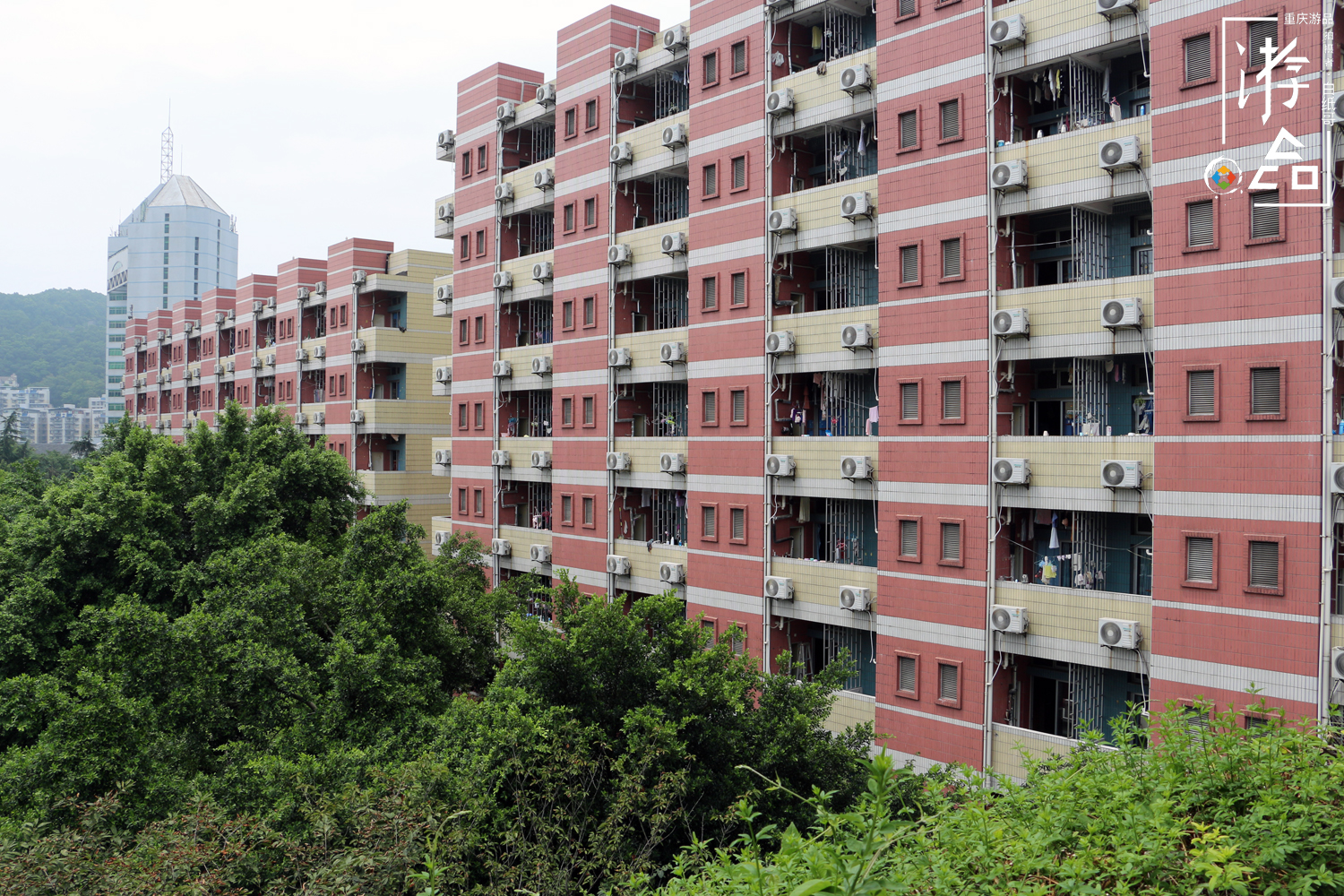 重庆特色大学一览，本地人想留下，外地考生很向往