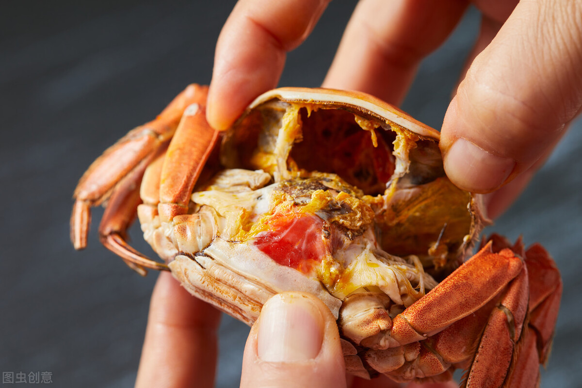螃蟹食物相克大全图片(吃螃蟹需要知道的禁忌)