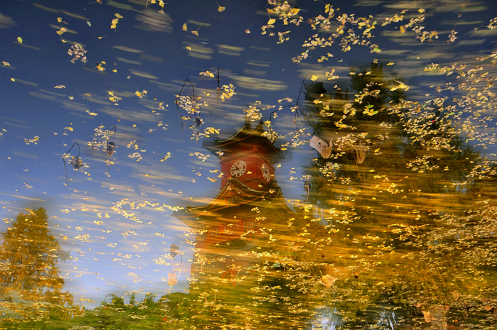 中国高校之四川大学