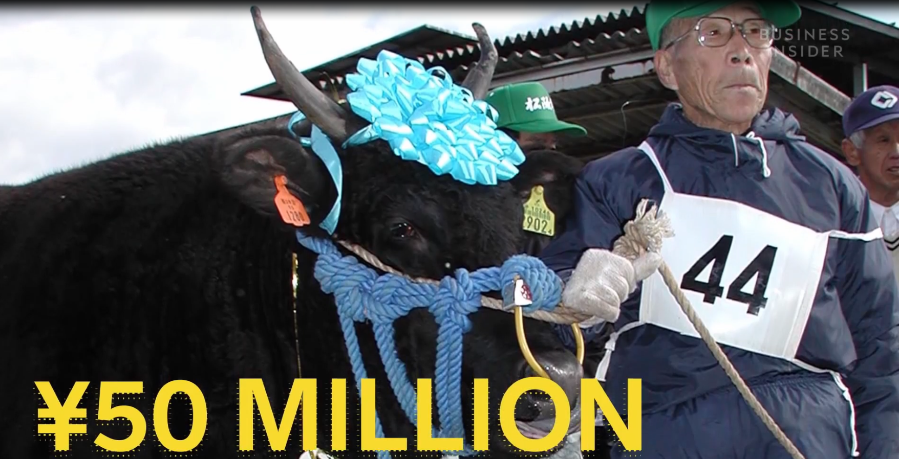 2000元一片，25万元一头，日本和牛凭什么这么贵？