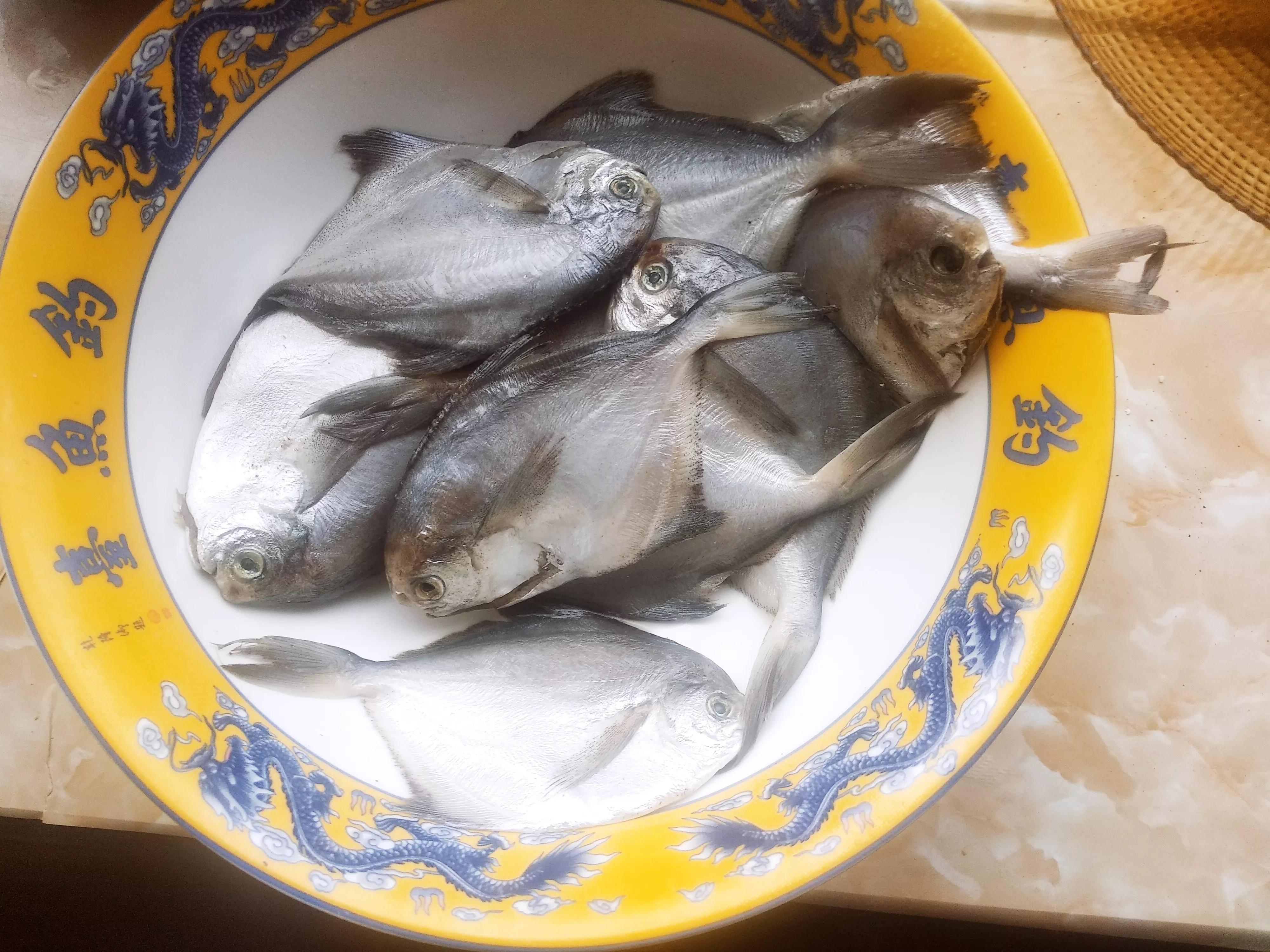 鳐鱼多少钱一斤(北方过年) 