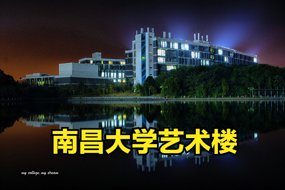 江西排名前10的大学艺术类招生的有多少所？南昌大学排第几？