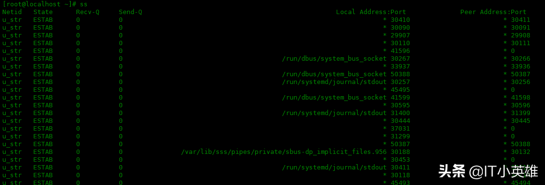 Linux 中 ss 命令的使用實例