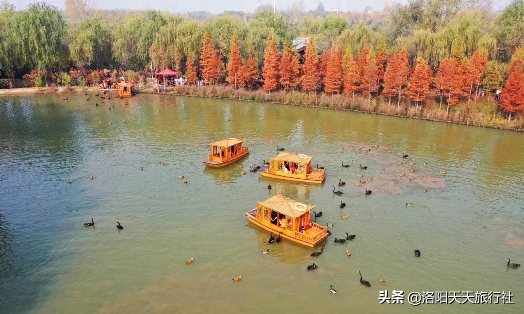 2020年度洛阳十大网红打卡地，出炉了，上榜理由很赞